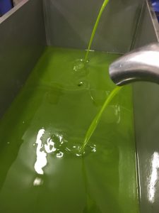 Olio extravergine di oliva Bio macinato a freddo